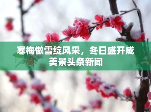 2025年6月11日