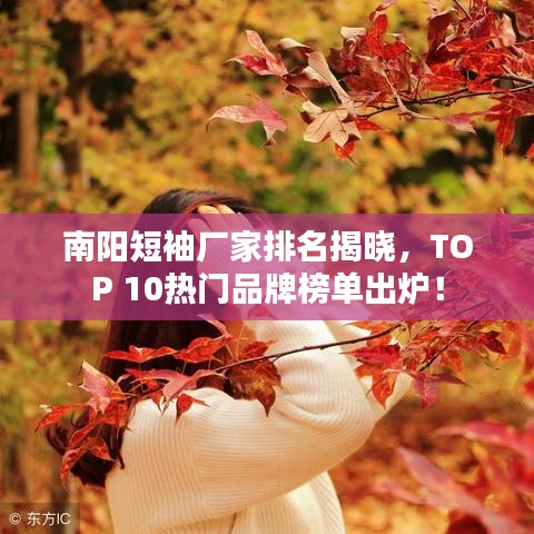 2025年6月12日 第3页