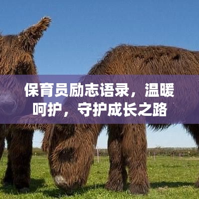保育员励志语录，温暖呵护，守护成长之路